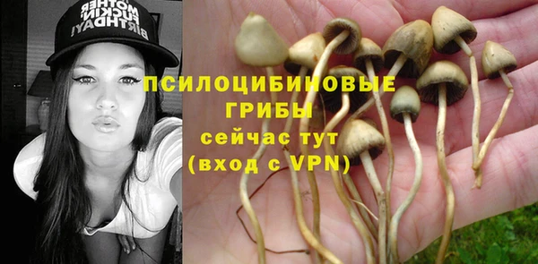mix Абаза