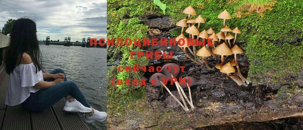 ПСИЛОЦИБИНОВЫЕ ГРИБЫ Абинск